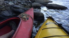 Kayak, Canoe or Float on the Wild n Scenic Allegheny River