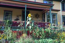 Heirloom Gardens Abound