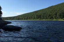 Our forested valley brings Peace